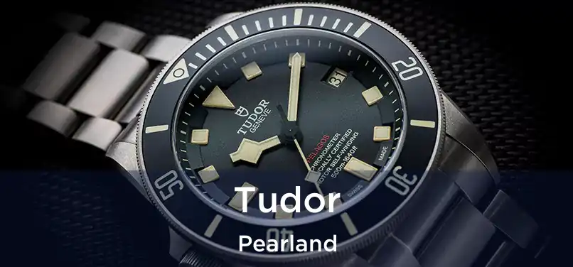 Tudor Pearland